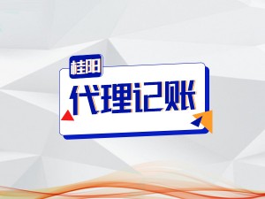 桂陽小規(guī)模企業(yè)代理記賬服務